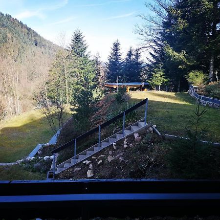 Haus Schwarzwaldblick Villa Hornberg Exterior photo