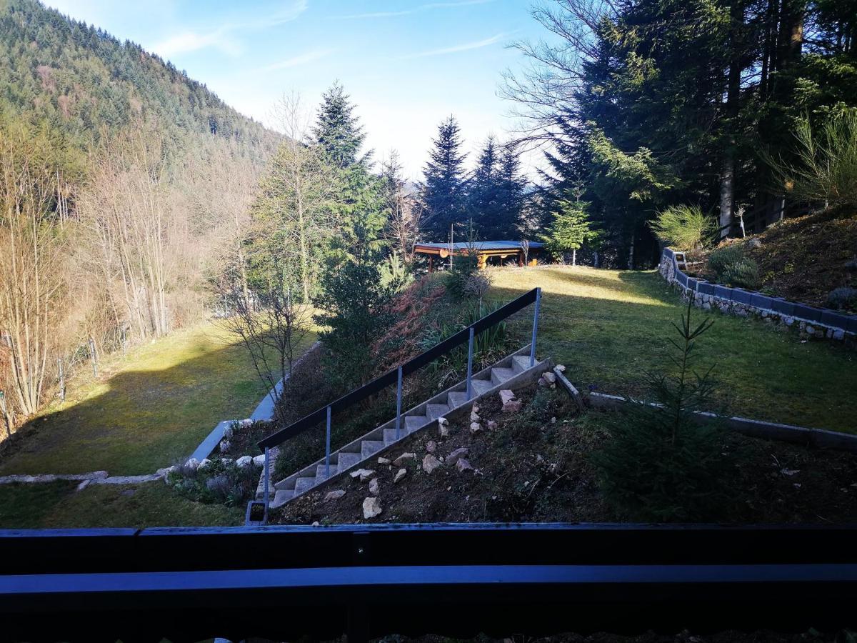 Haus Schwarzwaldblick Villa Hornberg Exterior photo